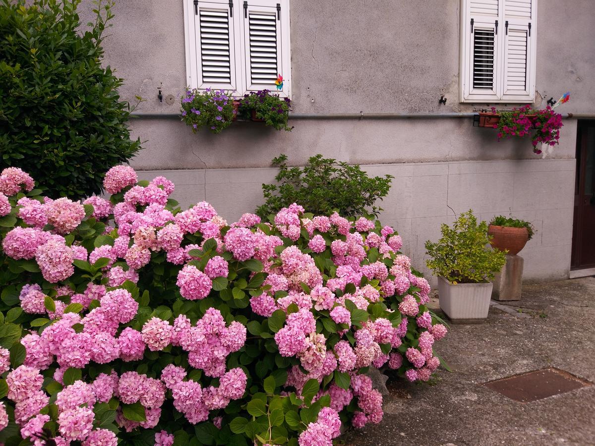 トリエステ A Casa Di Silvyヴィラ エクステリア 写真